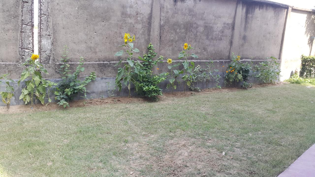 Shantiniketan Bungalow Bolpur Kültér fotó